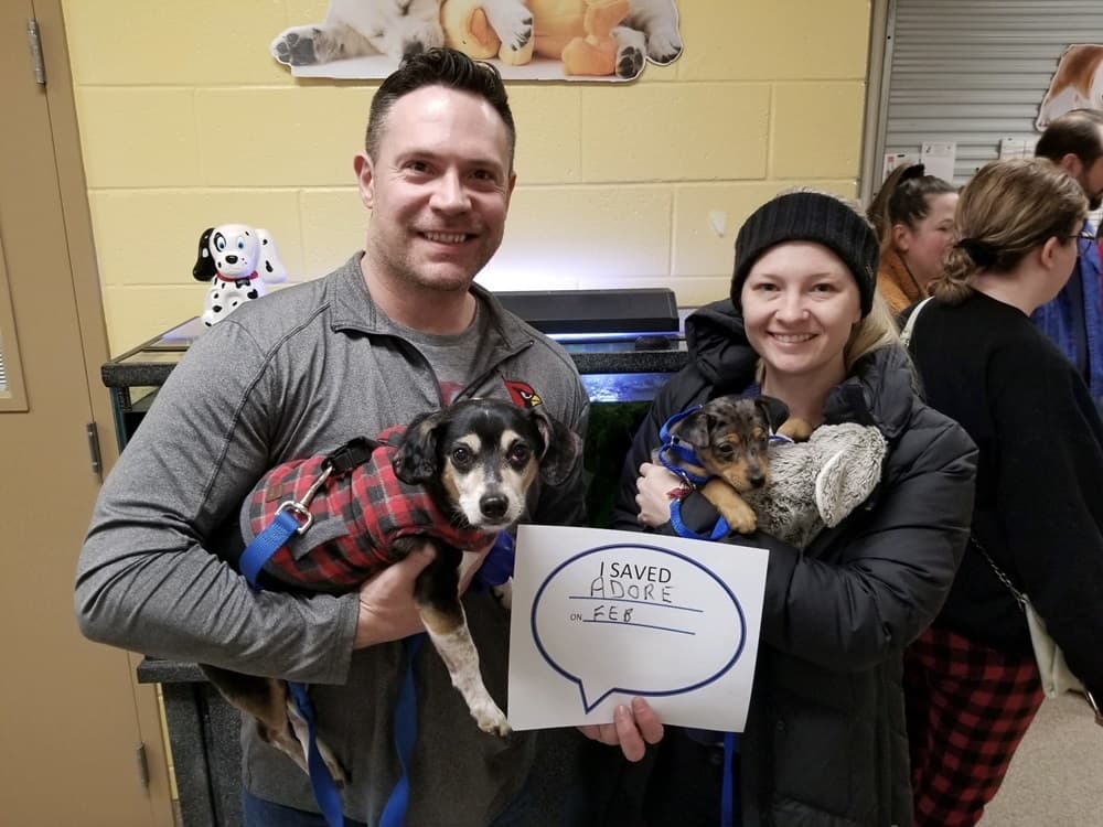 Laura & Steve photo 2