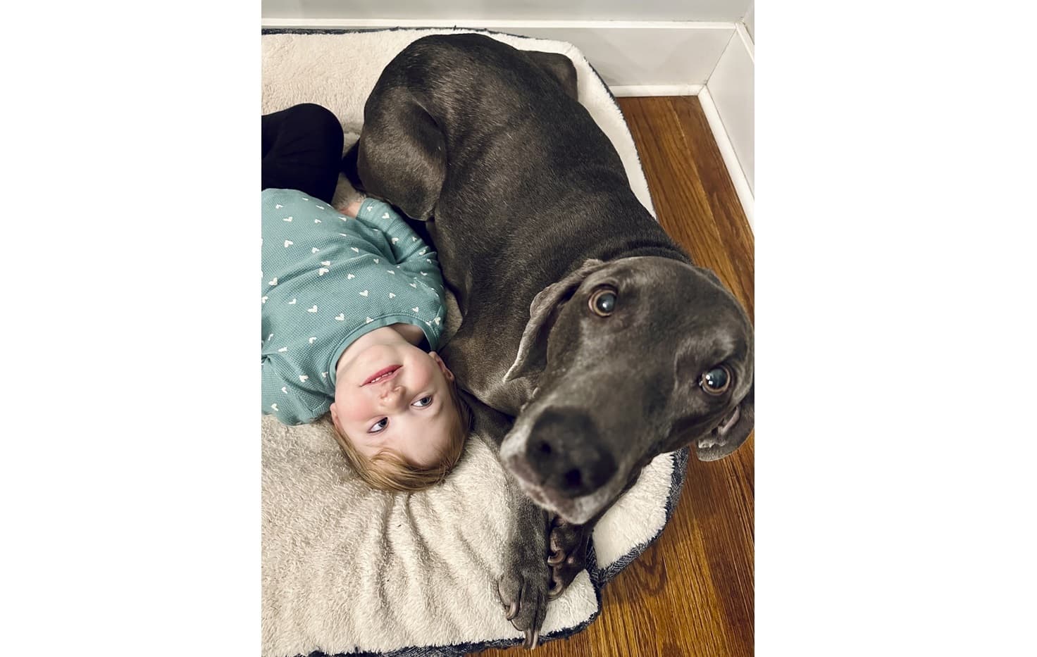 Rich & Steve photo 13