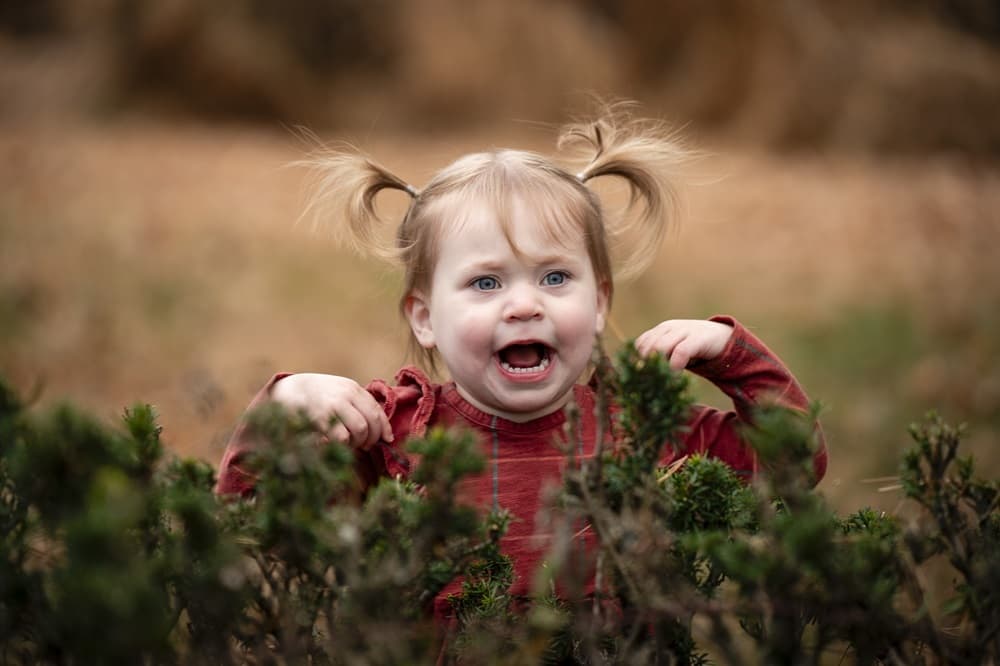 Rich & Steve photo 15