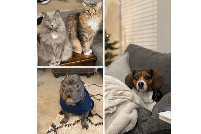 Rochelle & Christian