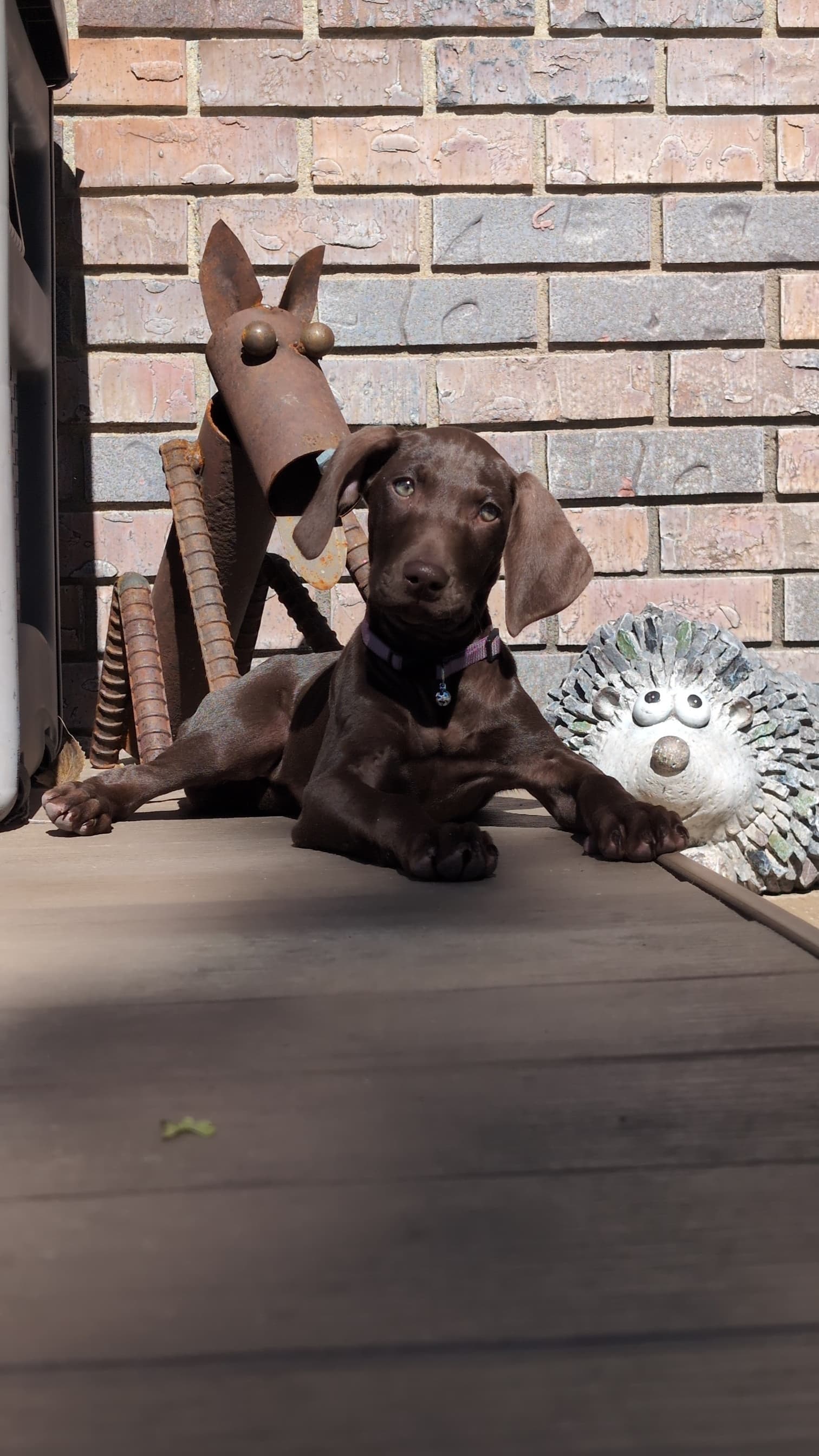 Aaron & Ryan photo 2