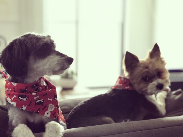 Dylan & Kevin