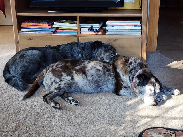 Serine & Becky