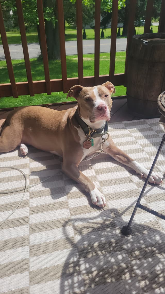 Amanda Nicole & Nicholas James