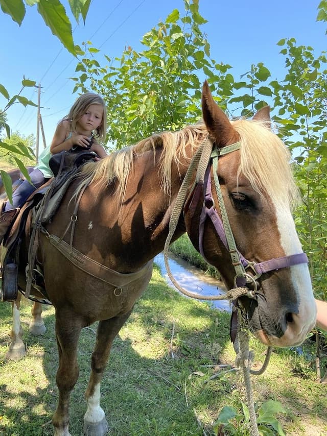 Emily Greer & Kyle Spencer