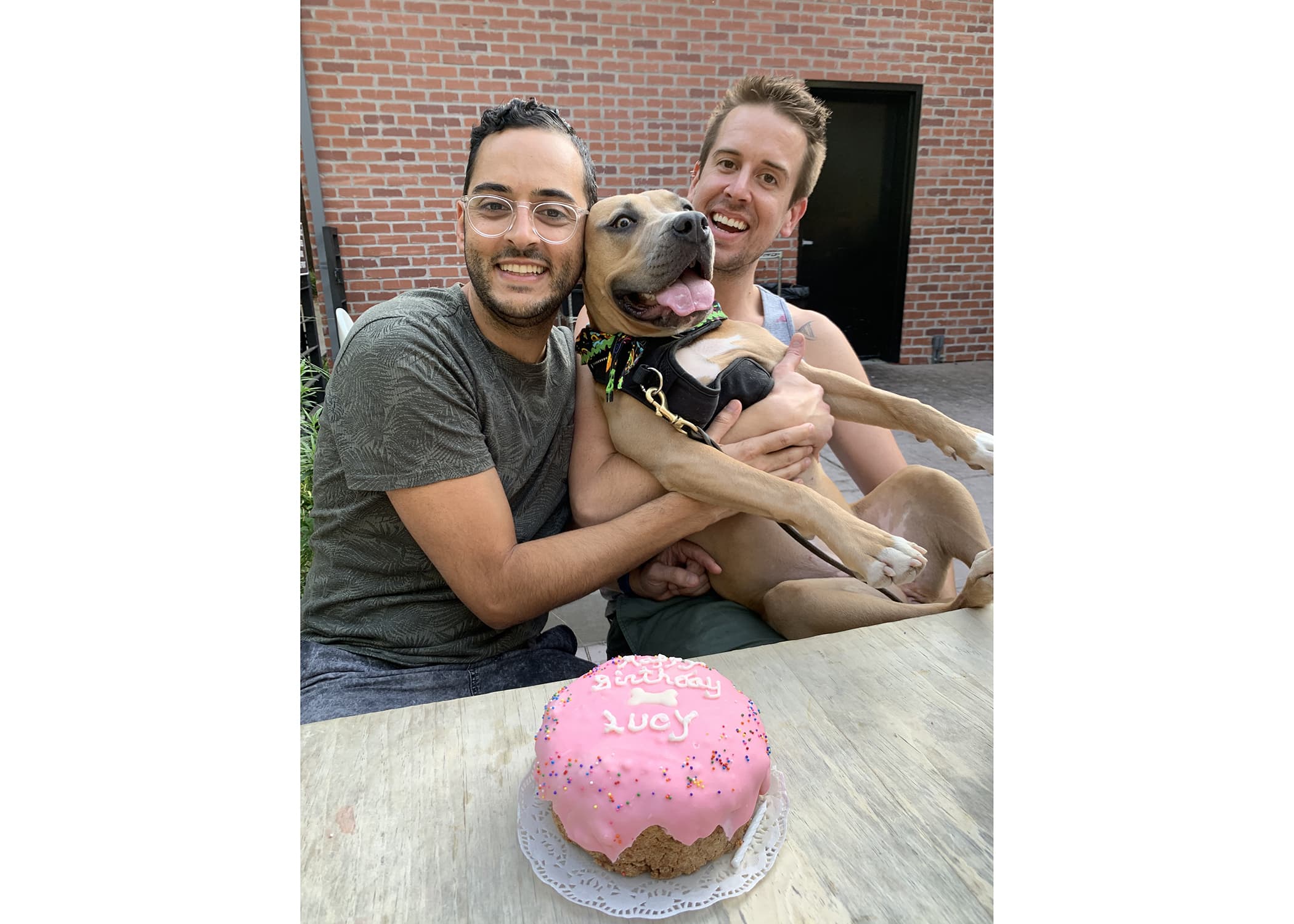 Coleman & Neema photo 4