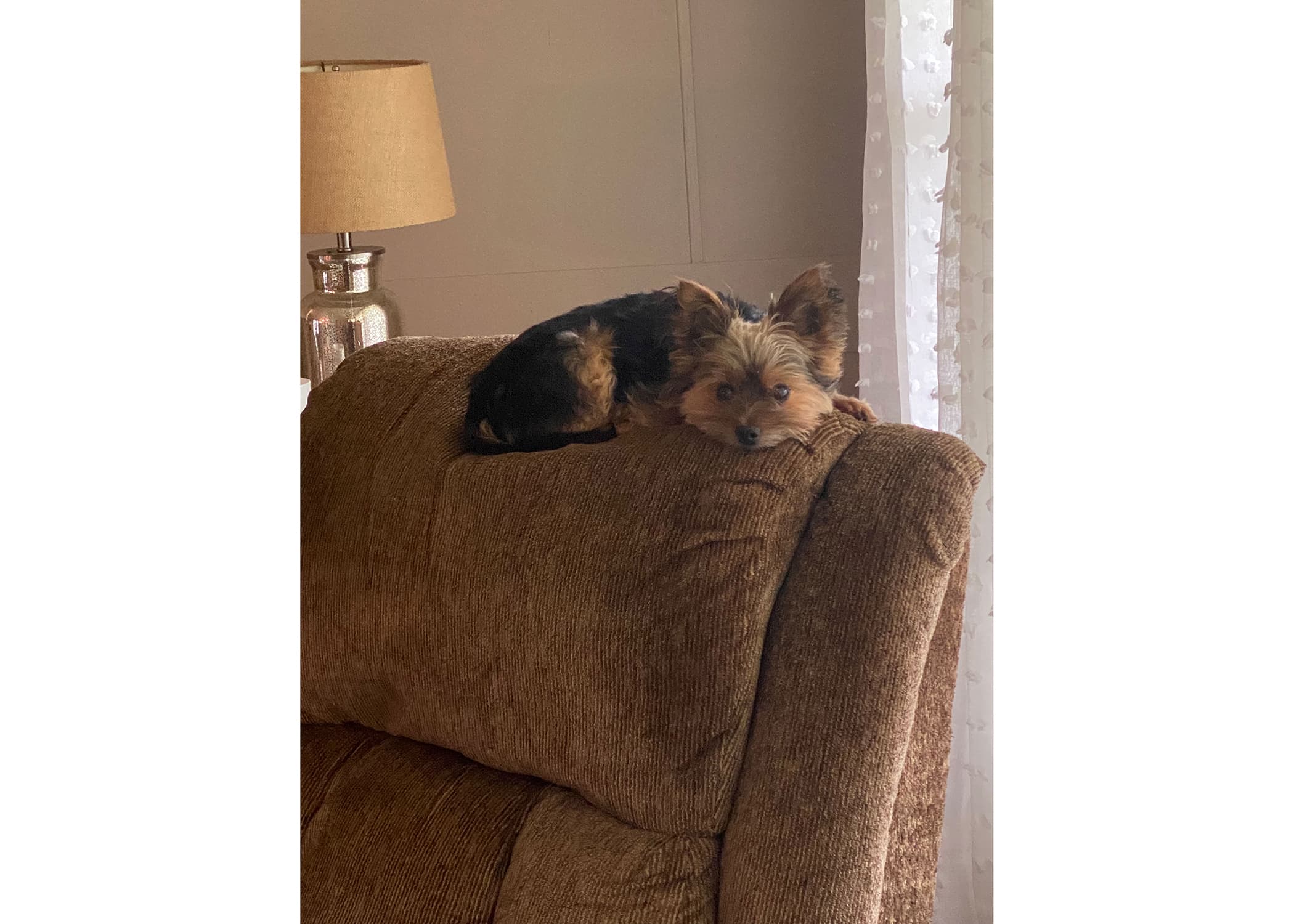 Courtney & Casey photo 2