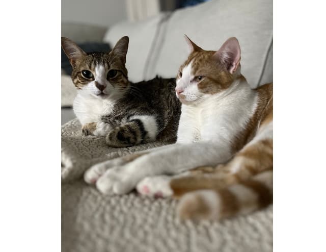 Jillian & Dane