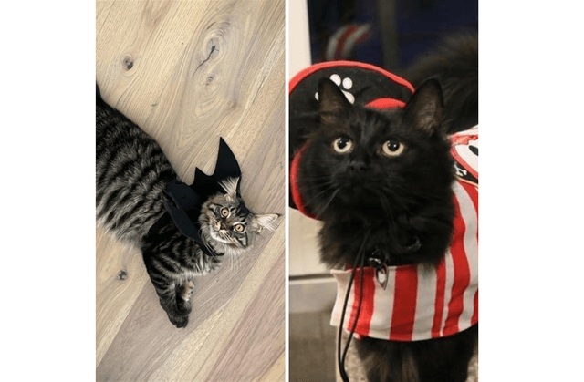 Virginia & Gustavo