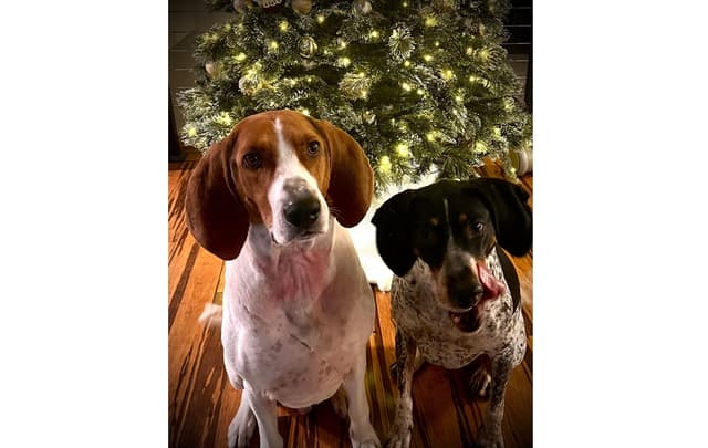 Lauren & Max