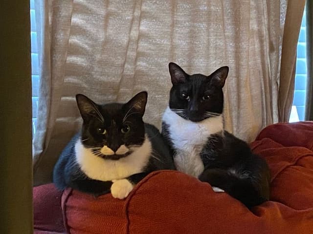 Jeff & Richard