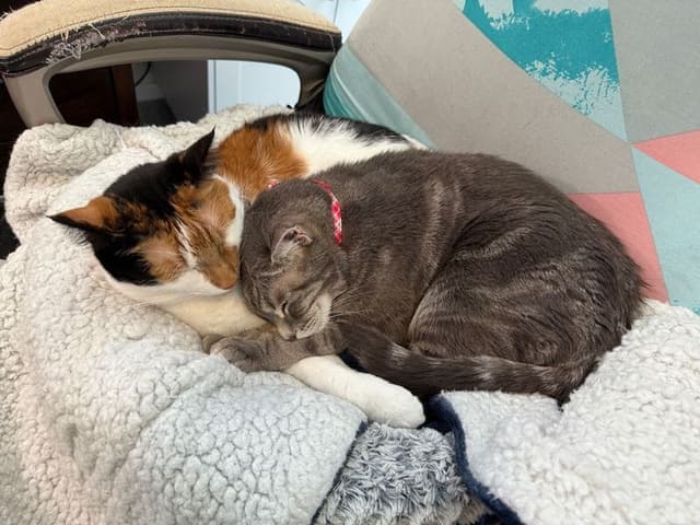 Brandon & Katie
