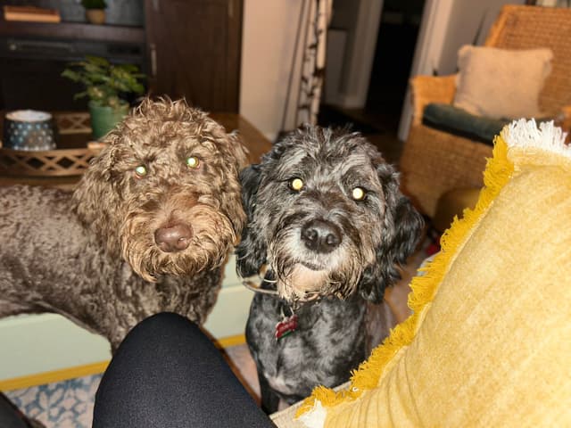 Sabrina & Arthur