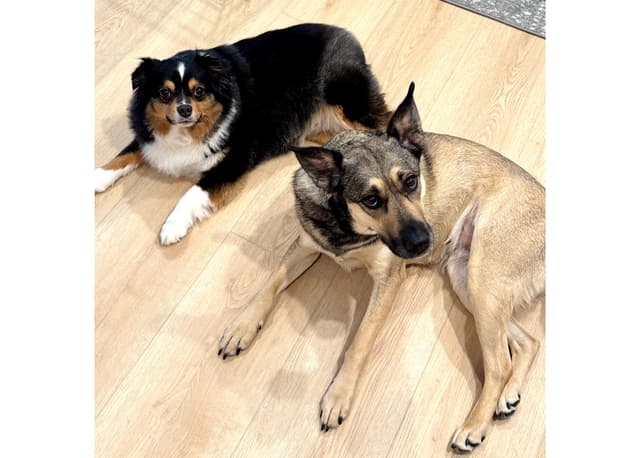 Amy & Denton
