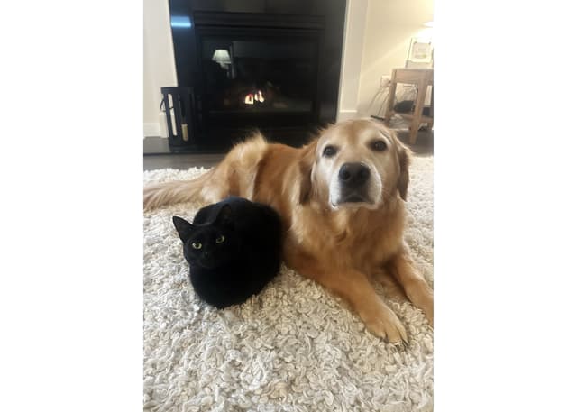 Megan & Chet