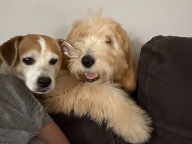 Ariana & Maxx