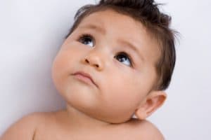 I Just Decided to Adopt. Now What?