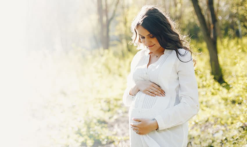 Getting Started with Adoption in Wisconsin