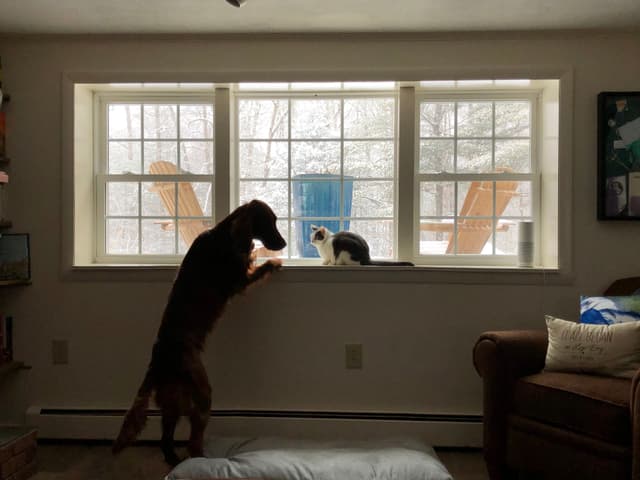 Chris & Frankie