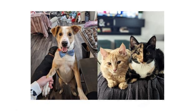 Peyton Bryant & Timothy Craig