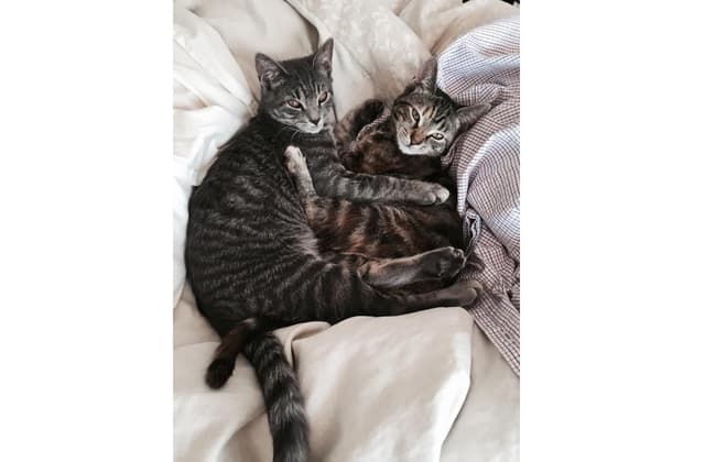 Jason & Caroline