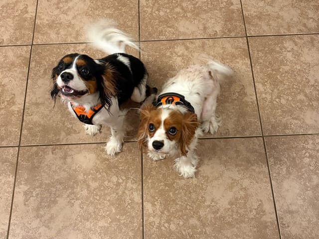 Mandy & Robert