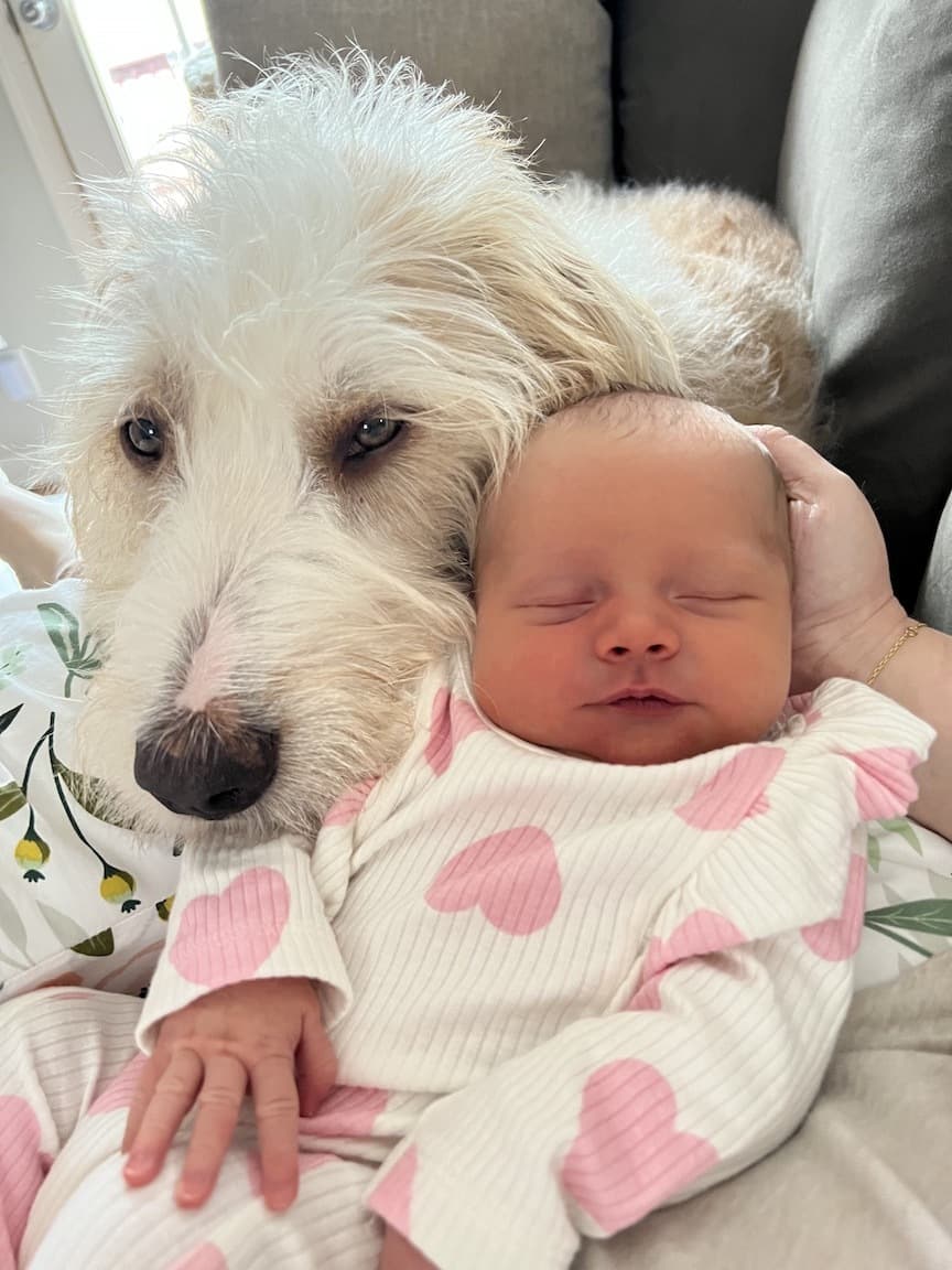 Chelsey & Chip