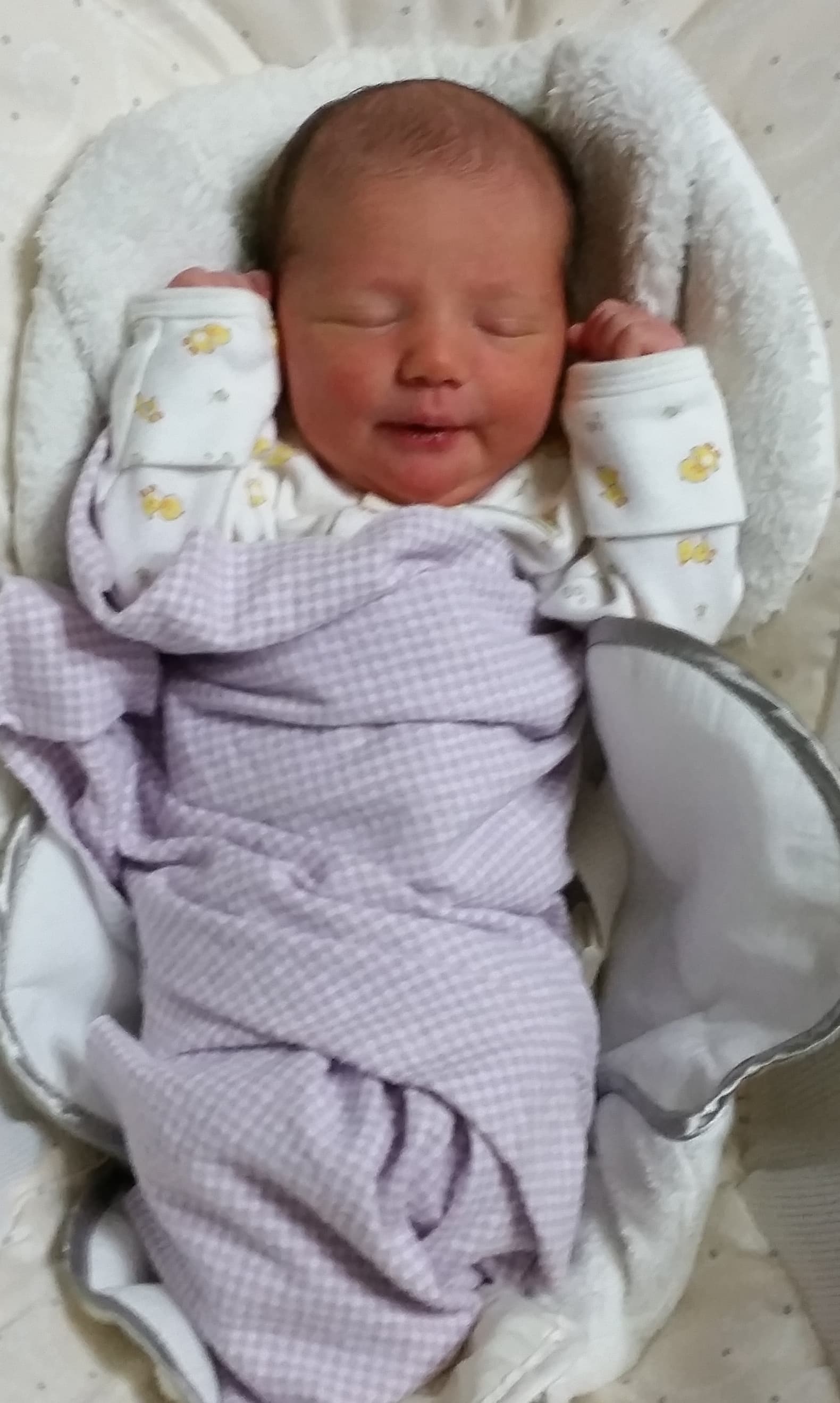 Recent adoption