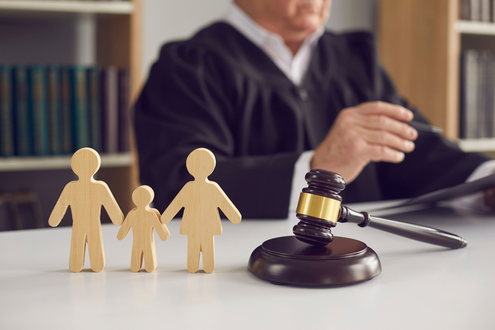 Adoption regulations