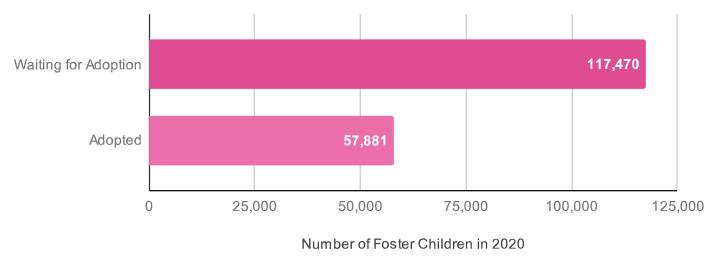 adoption statistics